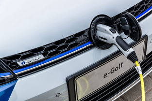 綠樹荷風夏日長 環(huán)保愛豆e golf邀你一起 走花路