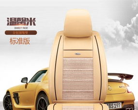 圖 廠家直銷汽車坐墊,腳墊,行車記錄儀,招代理一件代發(fā) 廣州汽車美容