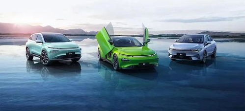 蔚小理 在爭(zhēng)議與贊譽(yù)交織中成長(zhǎng)的汽車配件銷售新模式